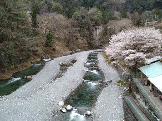 氷川国際ます釣場の3枚目画像