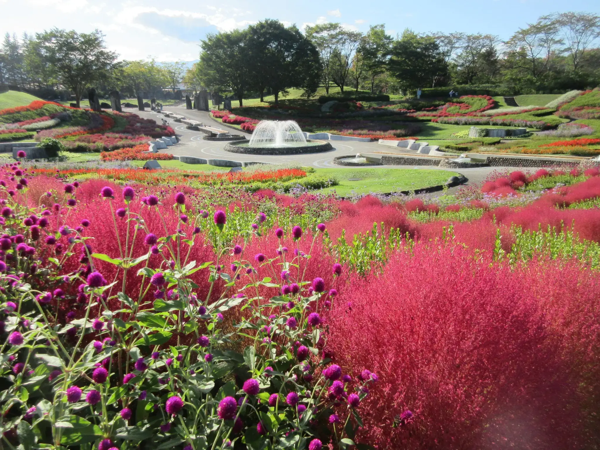 国営みちのく社の湖畔公園 いも煮会ひろばの2枚目画像