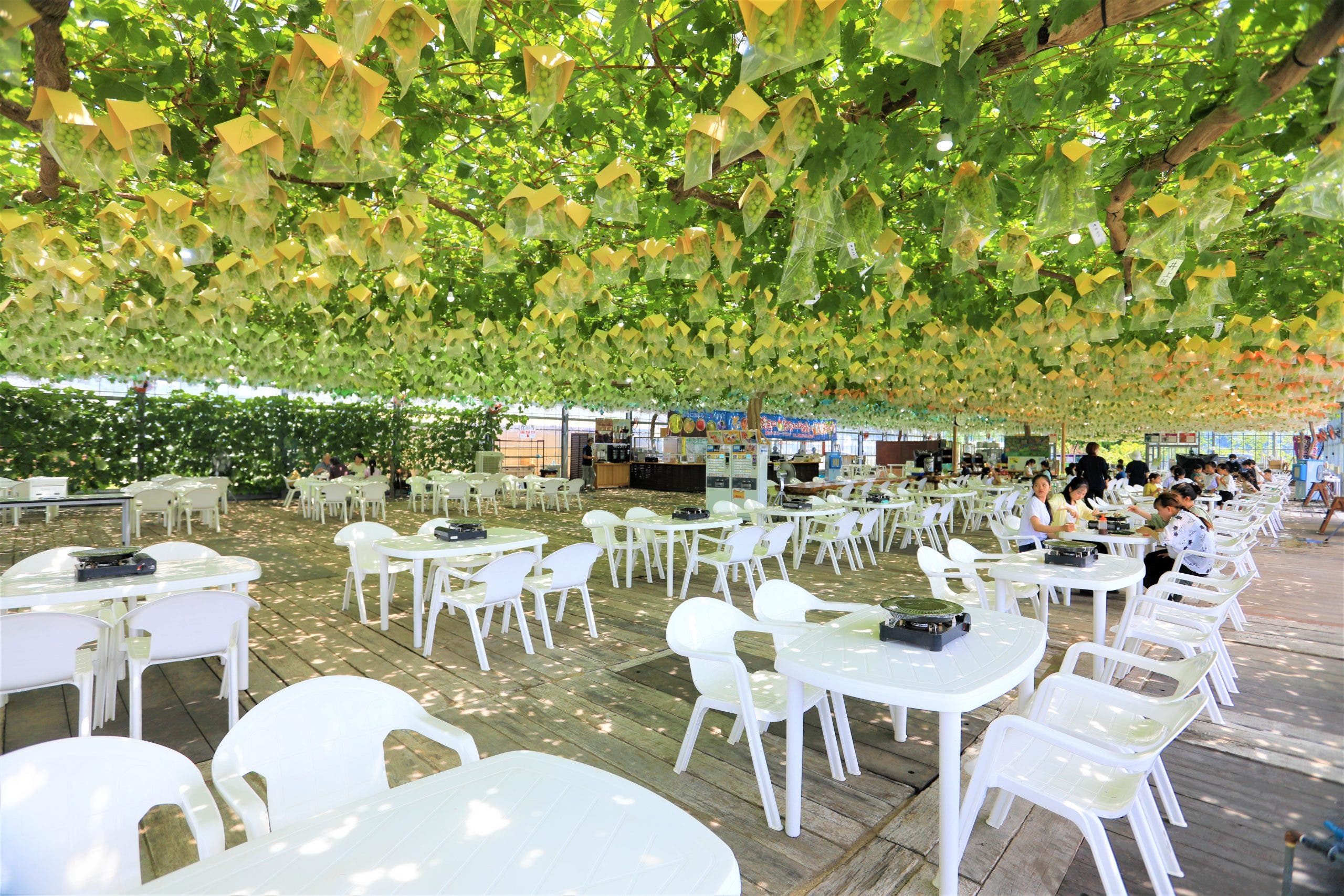 バーベキューセット