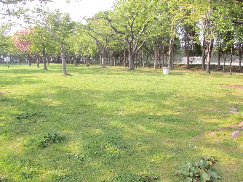 昭和公園の3枚目画像