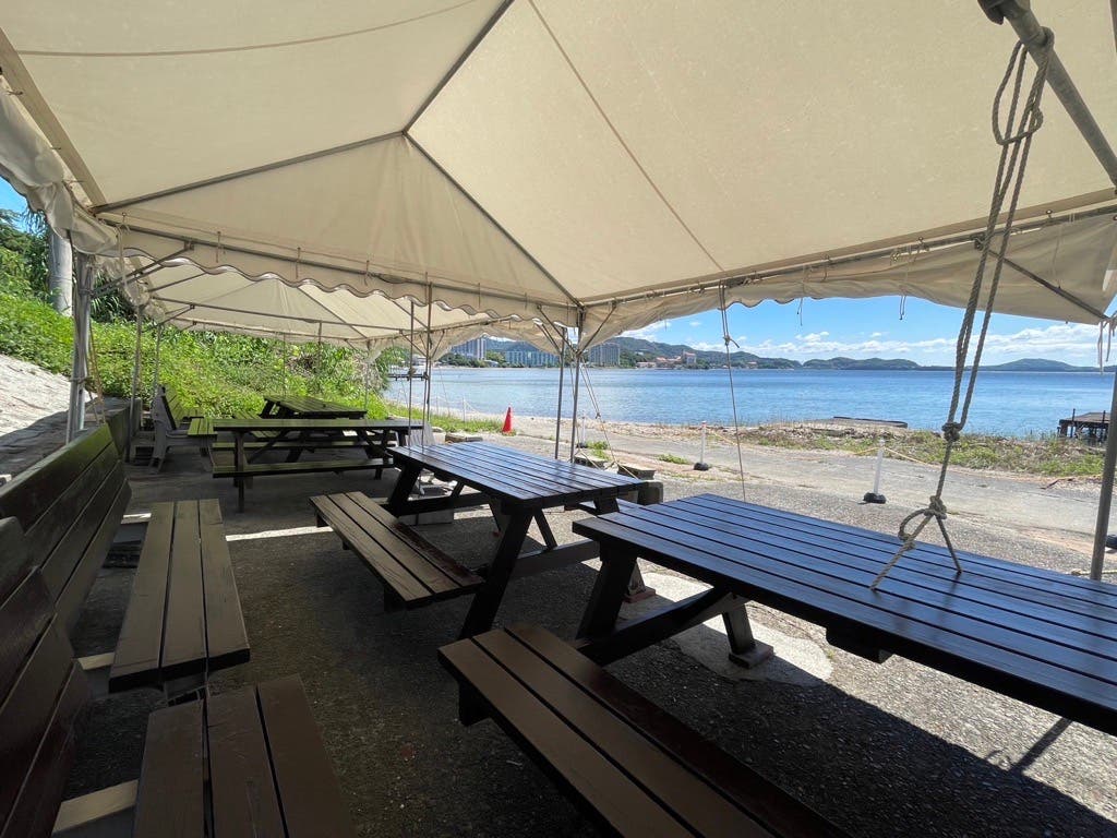 浜名湖バナナのサブ写真4