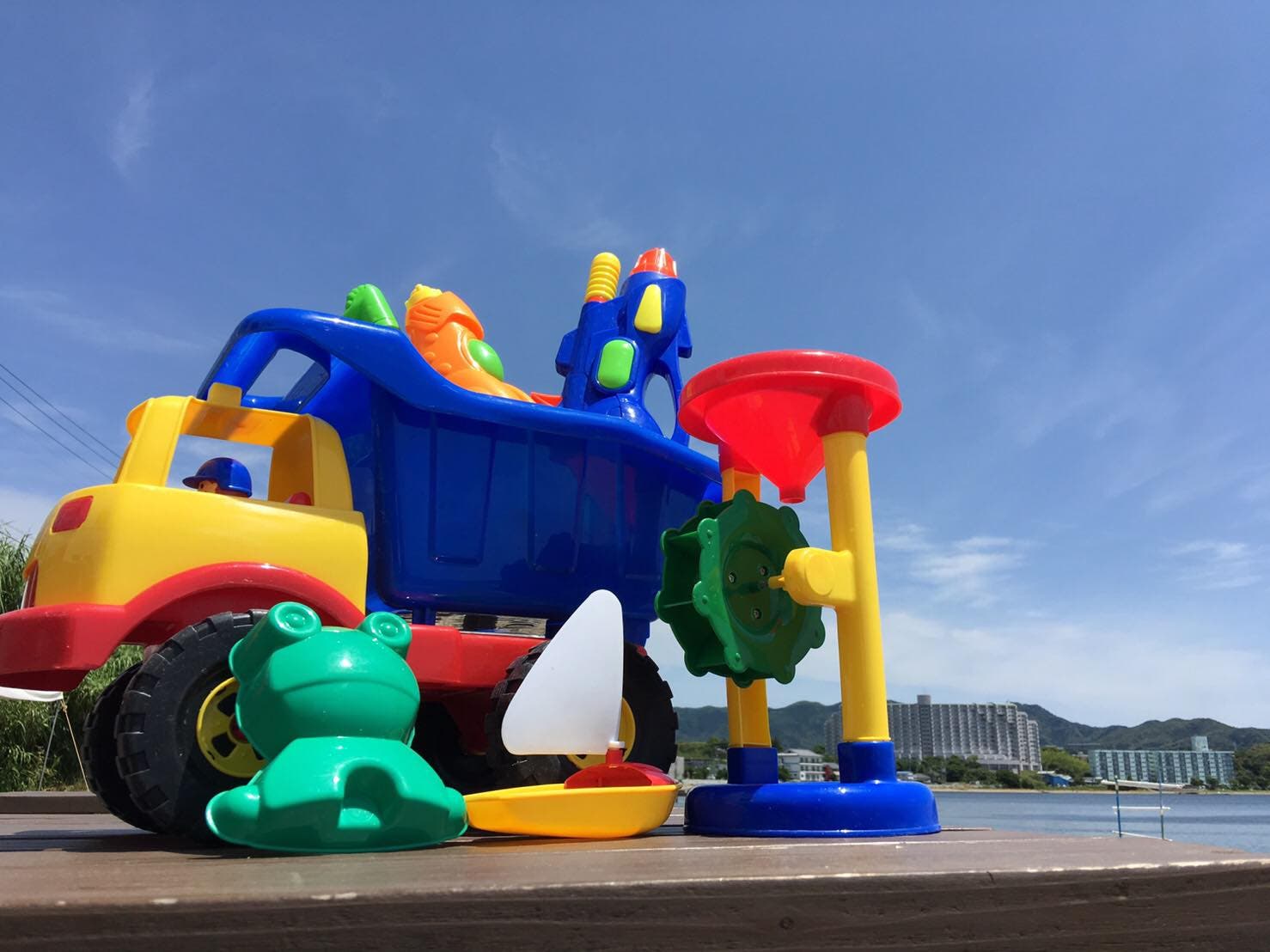 浜名湖バナナのサブ写真8