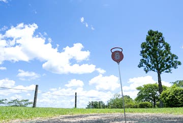 たけべの森公園 バーベキューガーデンのサブ写真6