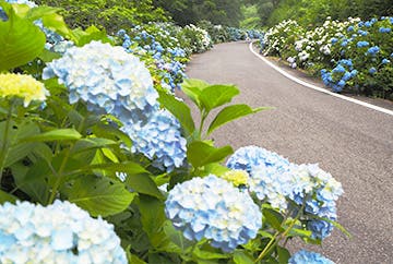 たけべの森公園 バーベキューガーデンのサブ写真10