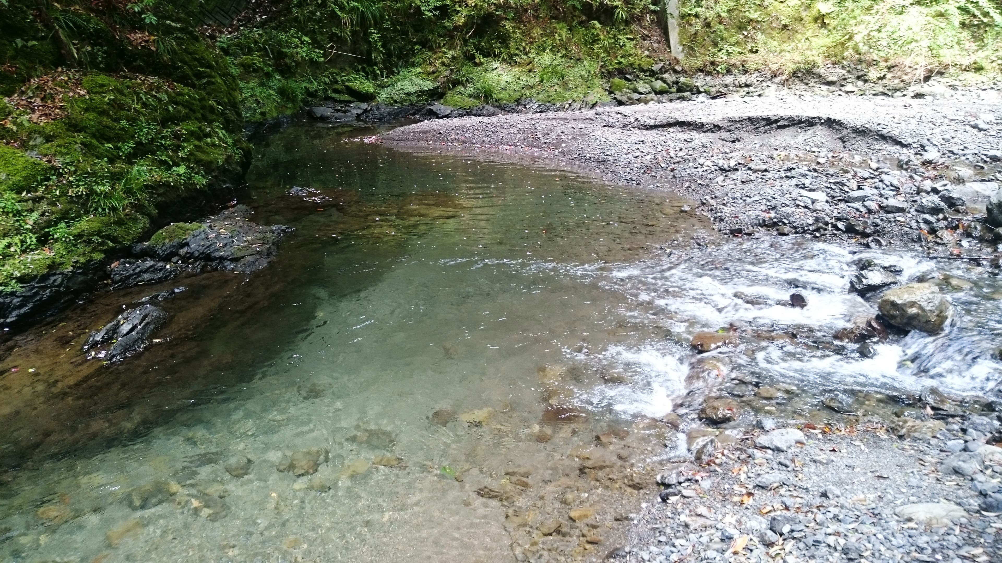 浜松市天竜区の貸切バーベキュー場 水と木の家のサブ写真3