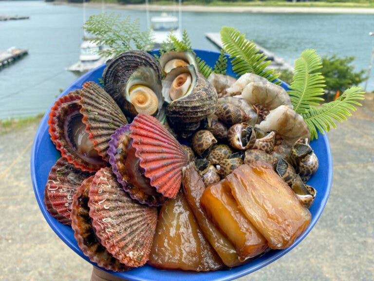 伊勢志摩海鮮BBQセット(7月～9月上旬限定)