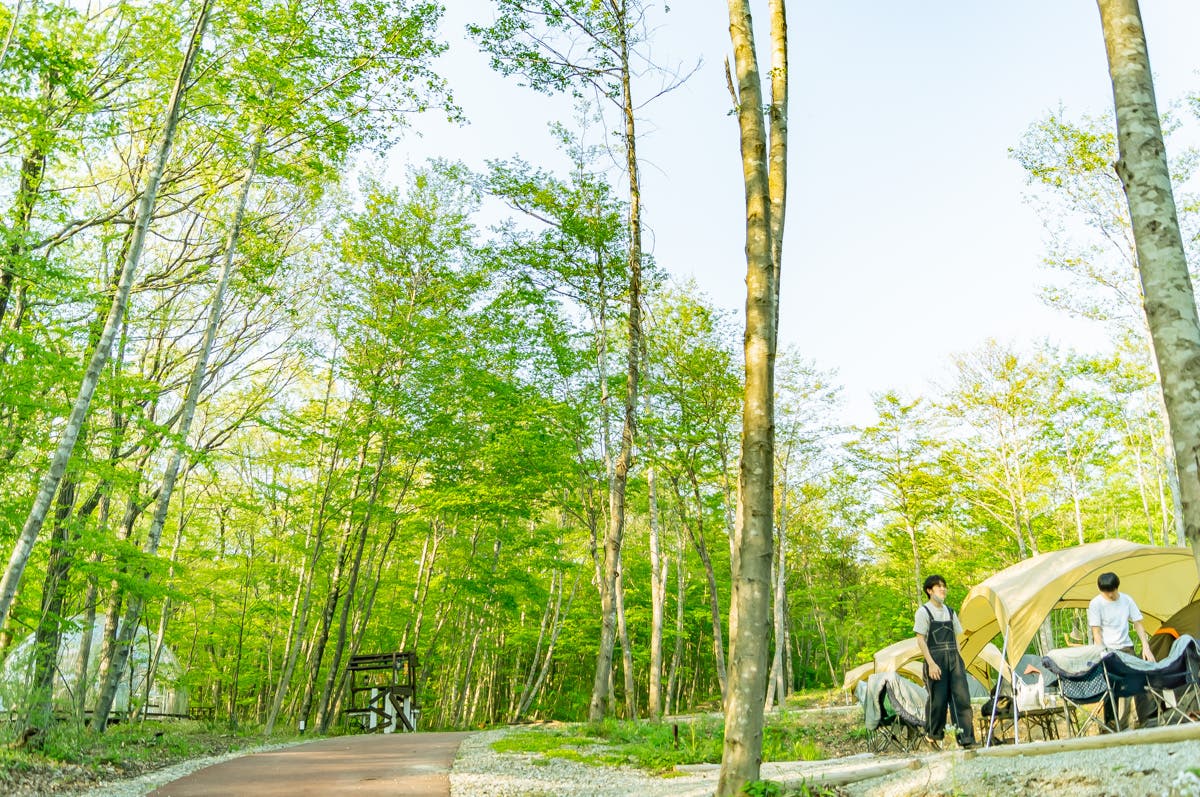 FACTLANDキャンプ場のサブ写真3