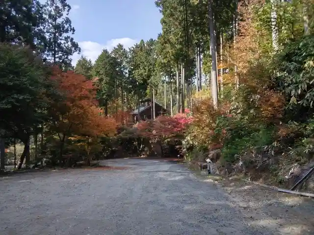 木もれ陽の森の2枚目画像