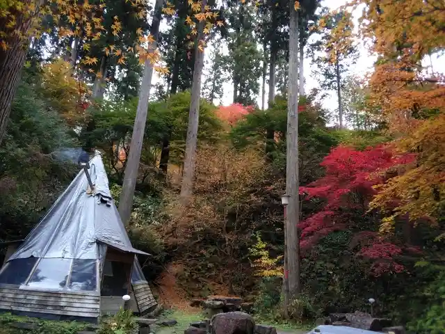 木もれ陽の森の3枚目画像