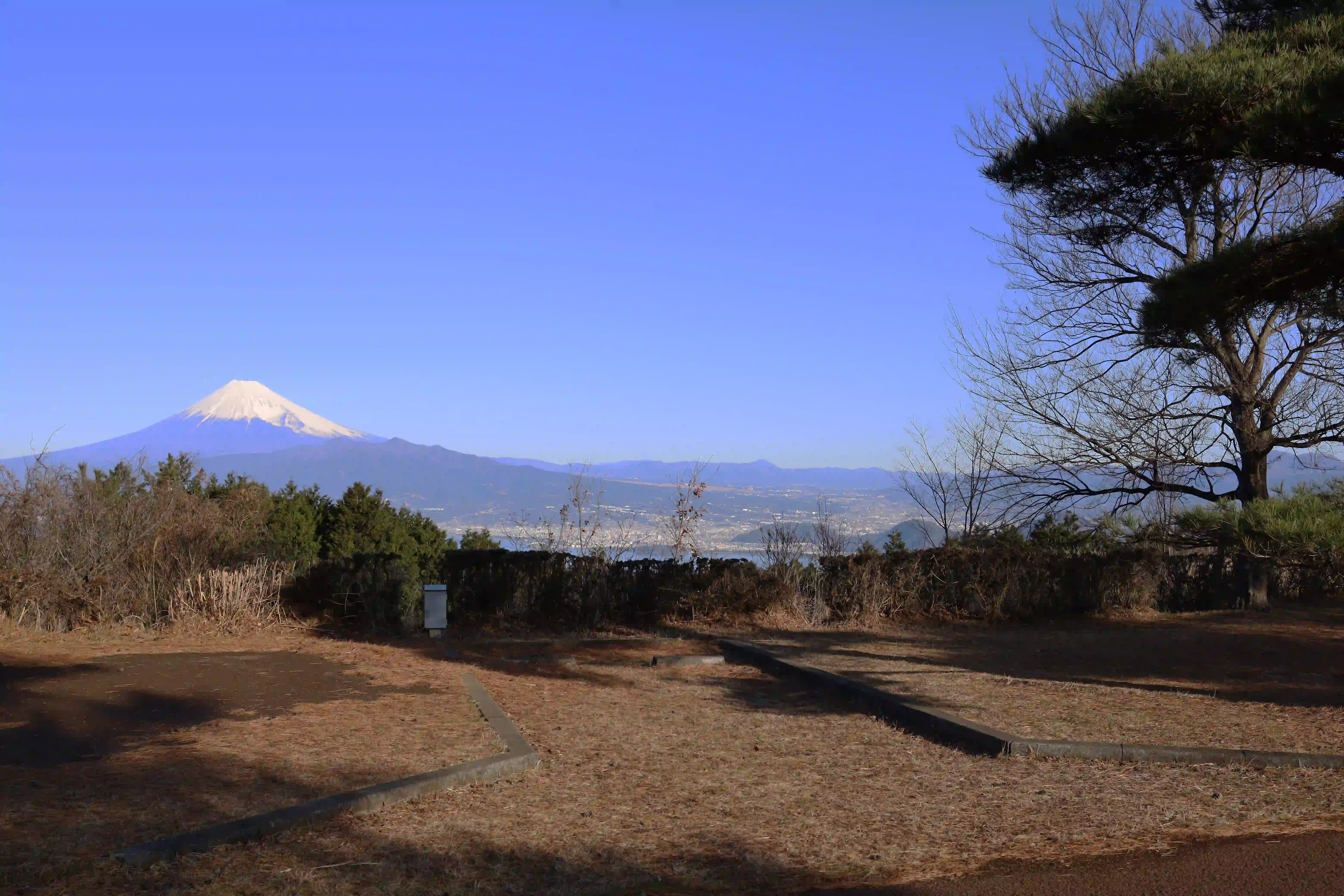 だるま山キャンプ場