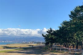 その他利用料金