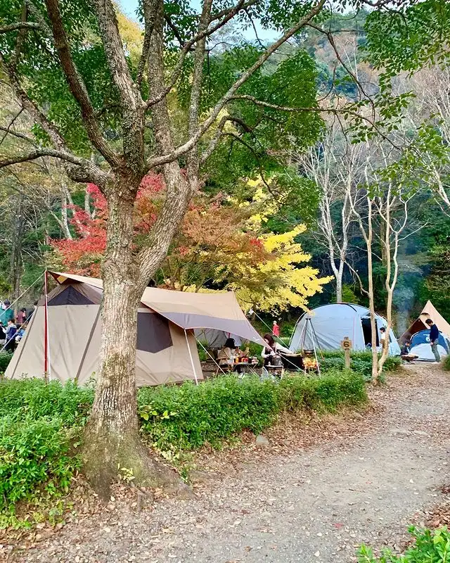 大久保キャンプ場の3枚目画像