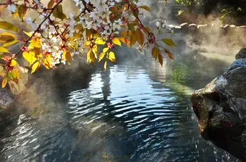 双子キャンプ村のサブ写真4