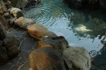 双子キャンプ村のサブ写真5