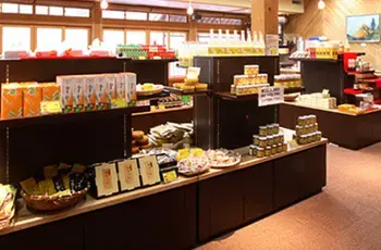 双子キャンプ村のサブ写真7