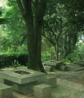 高野山公園の3枚目画像