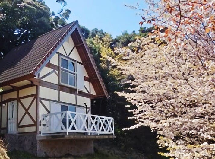 崎野自然公園キャンプ場の3枚目画像