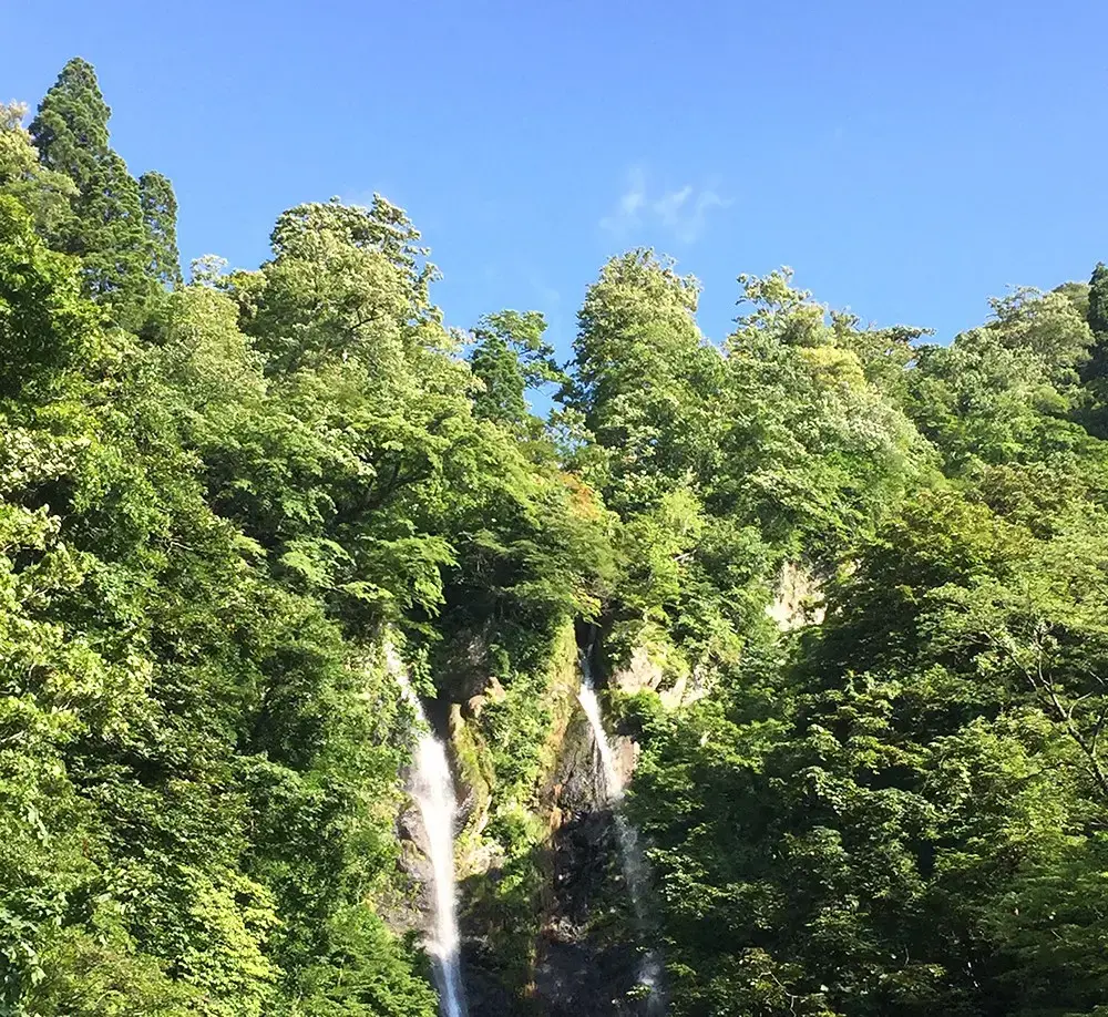 南砺市つくばね森林公園の3枚目画像
