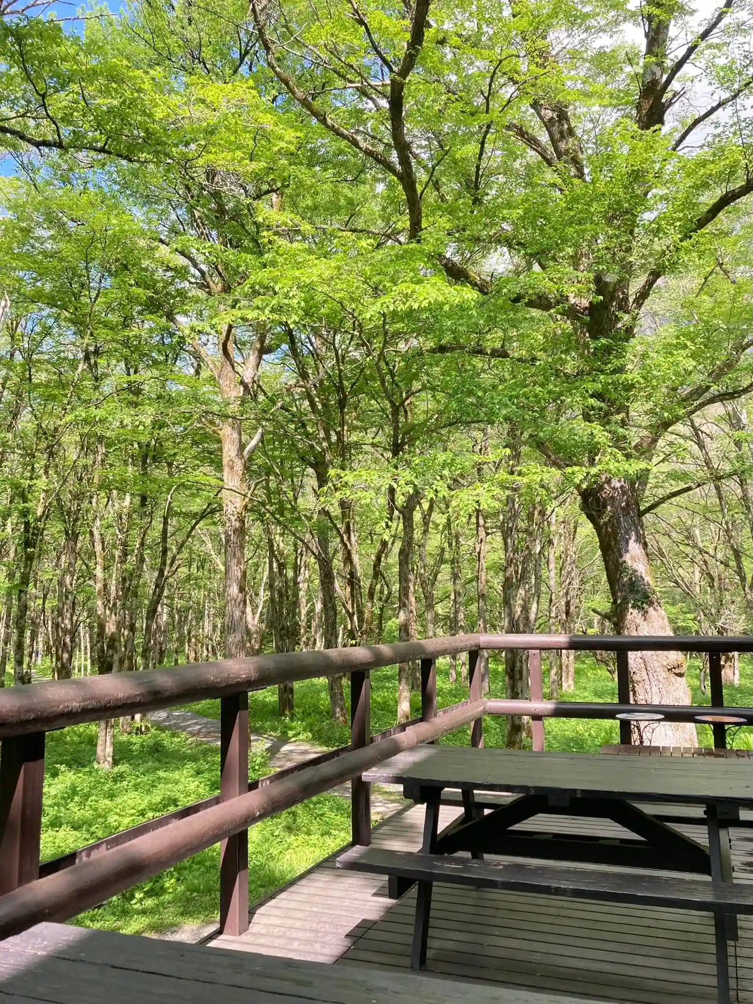 徳沢ロッヂのサブ写真1