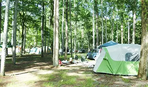 川和自然公園キャンプ場の2枚目画像