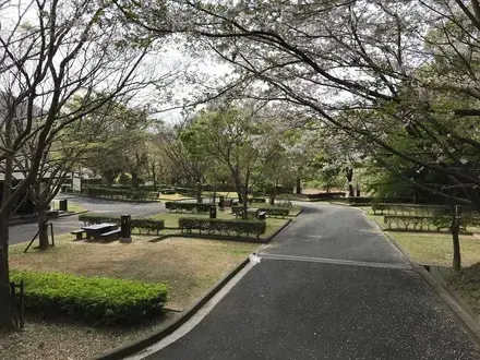 グリーンパークすのかわオートキャンプ場の2枚目画像
