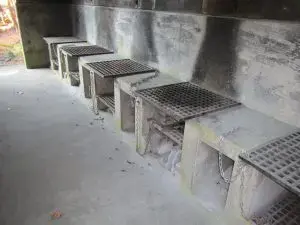 須津山休養林キャンプ場の2枚目画像