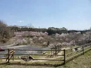 フォレスタ！早島町ふれあいの森公園の2枚目画像