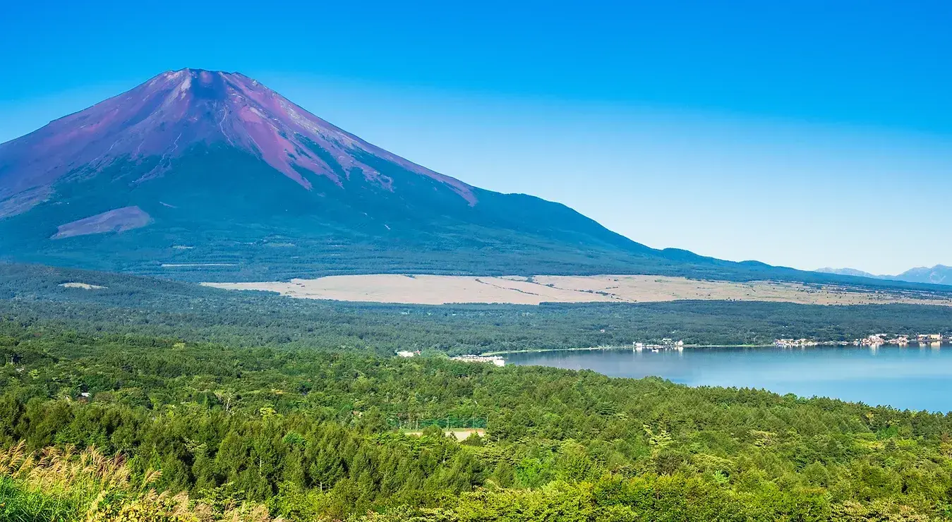 山中湖みなみオートキャンプ場の1枚目画像