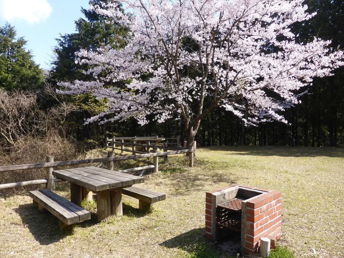 南部町森林公園キャンプ場の2枚目画像