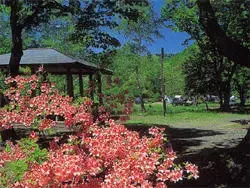 七戸町森林公園の1枚目画像