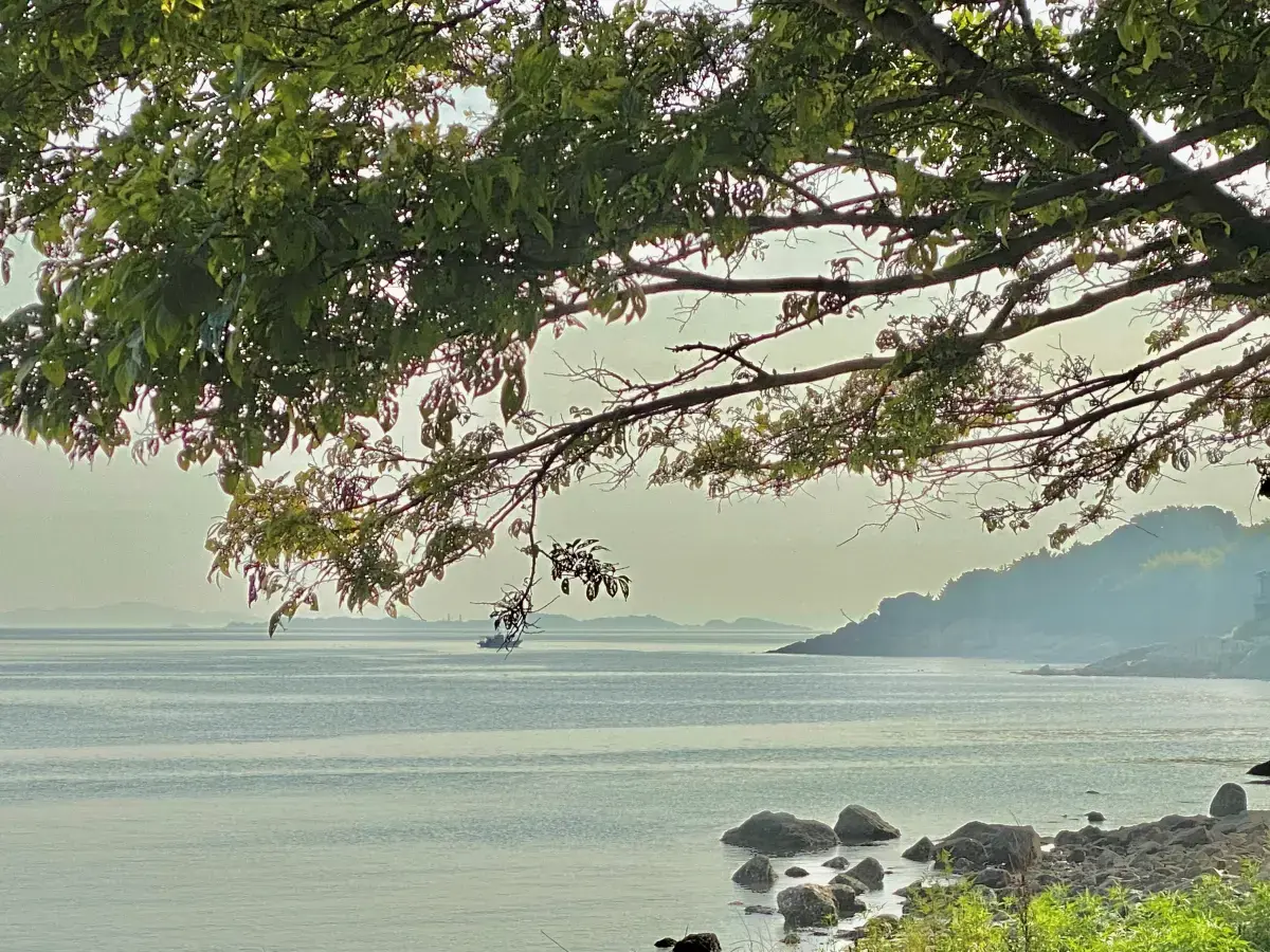 サンビーチ前島の2枚目画像