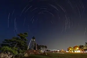 一の宮公園内キャンプ場の2枚目画像