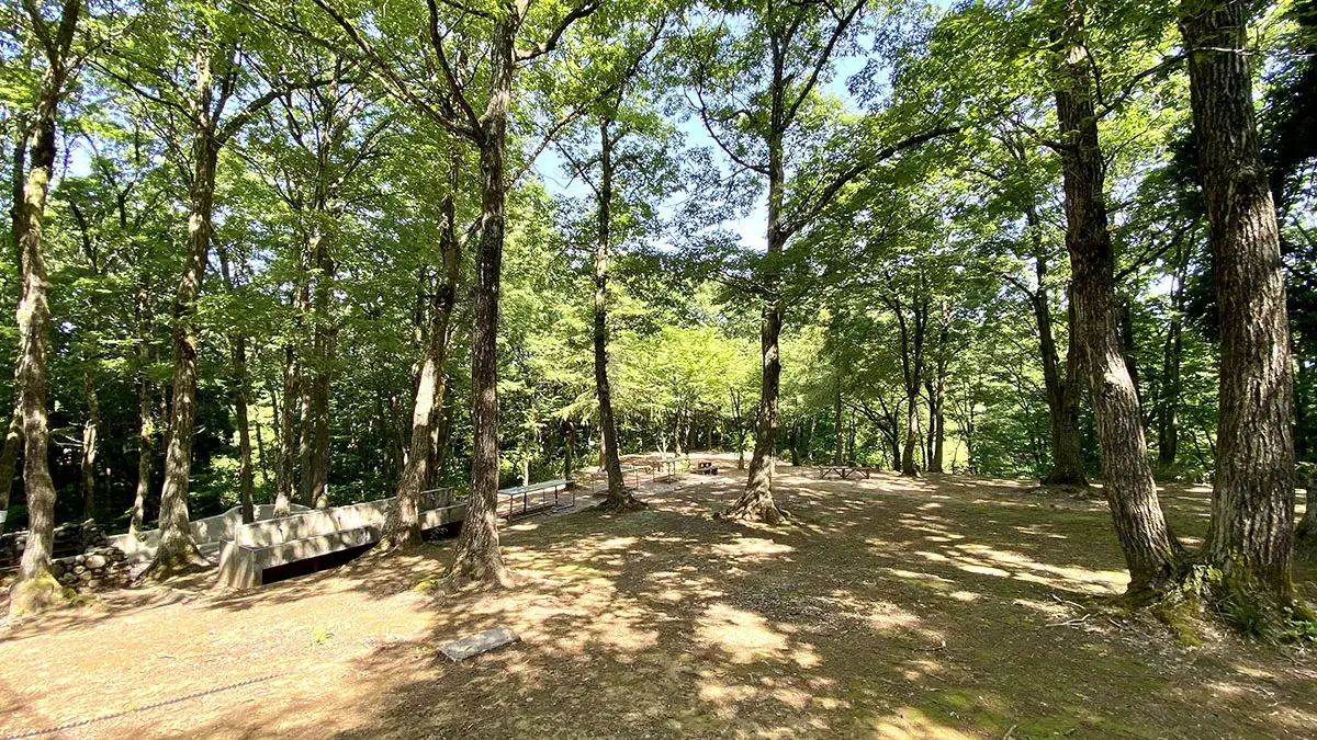三条市グリーンスポーツセンターの3枚目画像