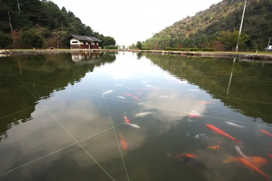 朝倉ダム湖畔緑水公園の3枚目画像