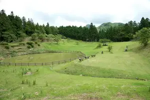 星ヶ窪キャンプ場の1枚目画像