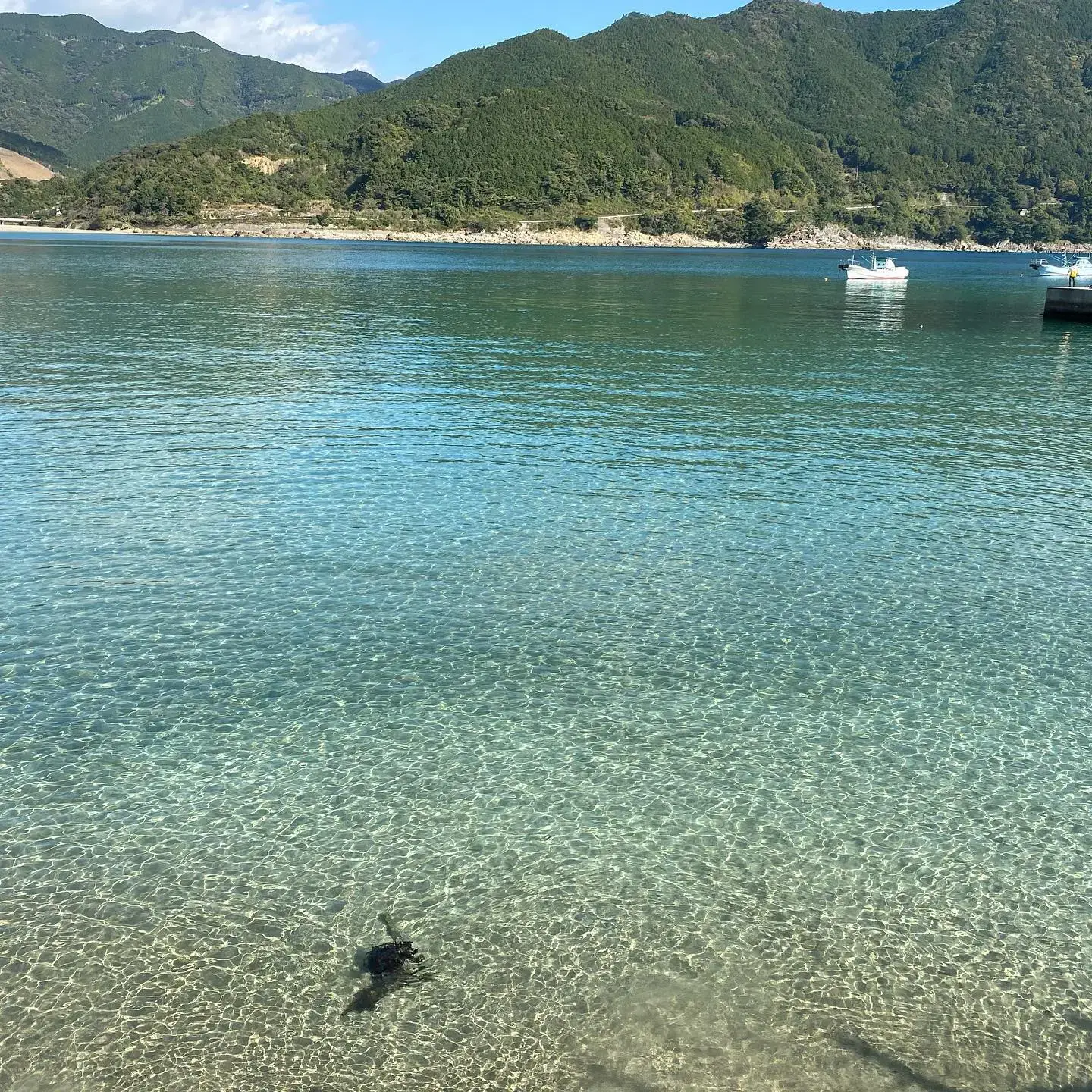 新鹿海水浴場キャンプ場の3枚目画像