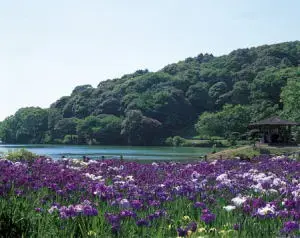 物見山総合公園キャンプ場の1枚目画像