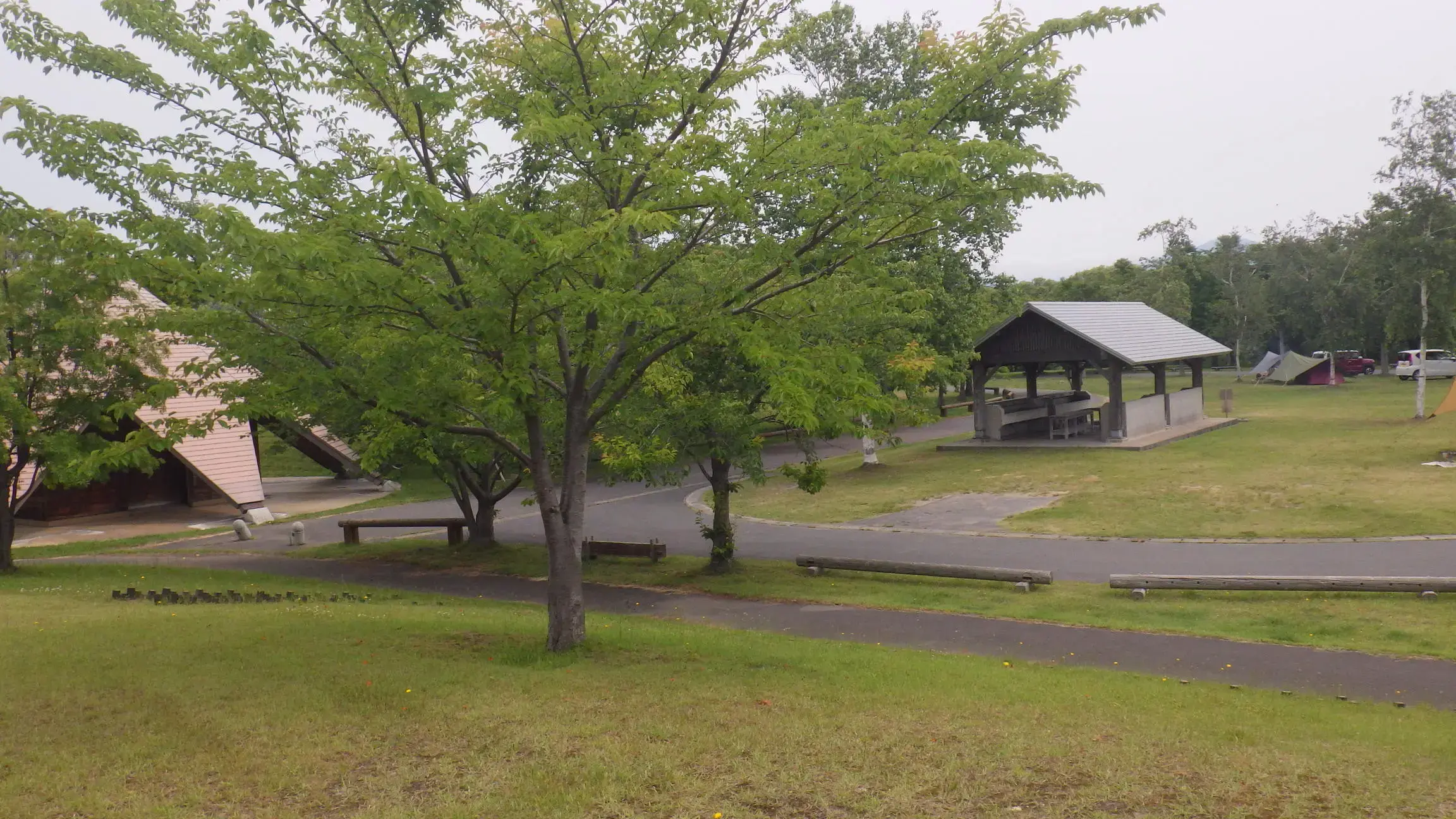 芦野公園オートキャンプ場の1枚目画像