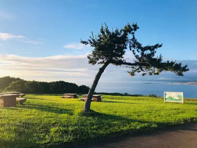夷王山キャンプ場の2枚目画像