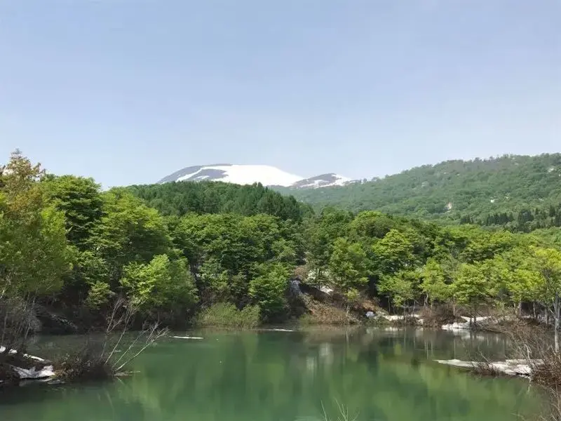 山形県志津野営場の3枚目画像