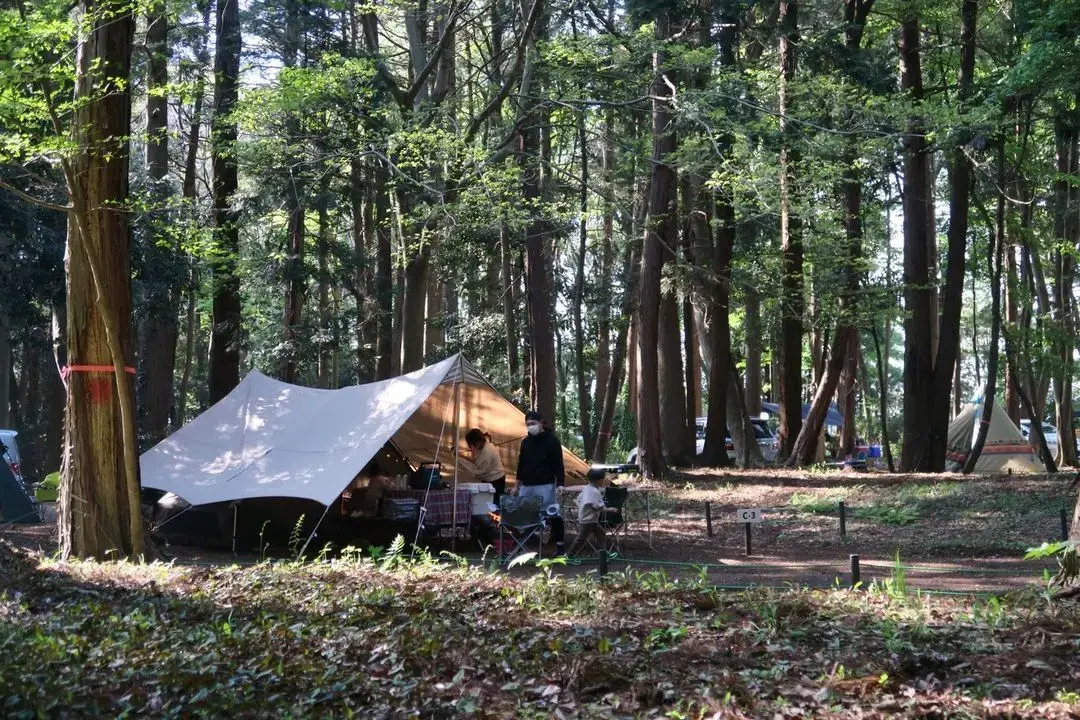 Lake Lodge YAMANAKAの2枚目画像