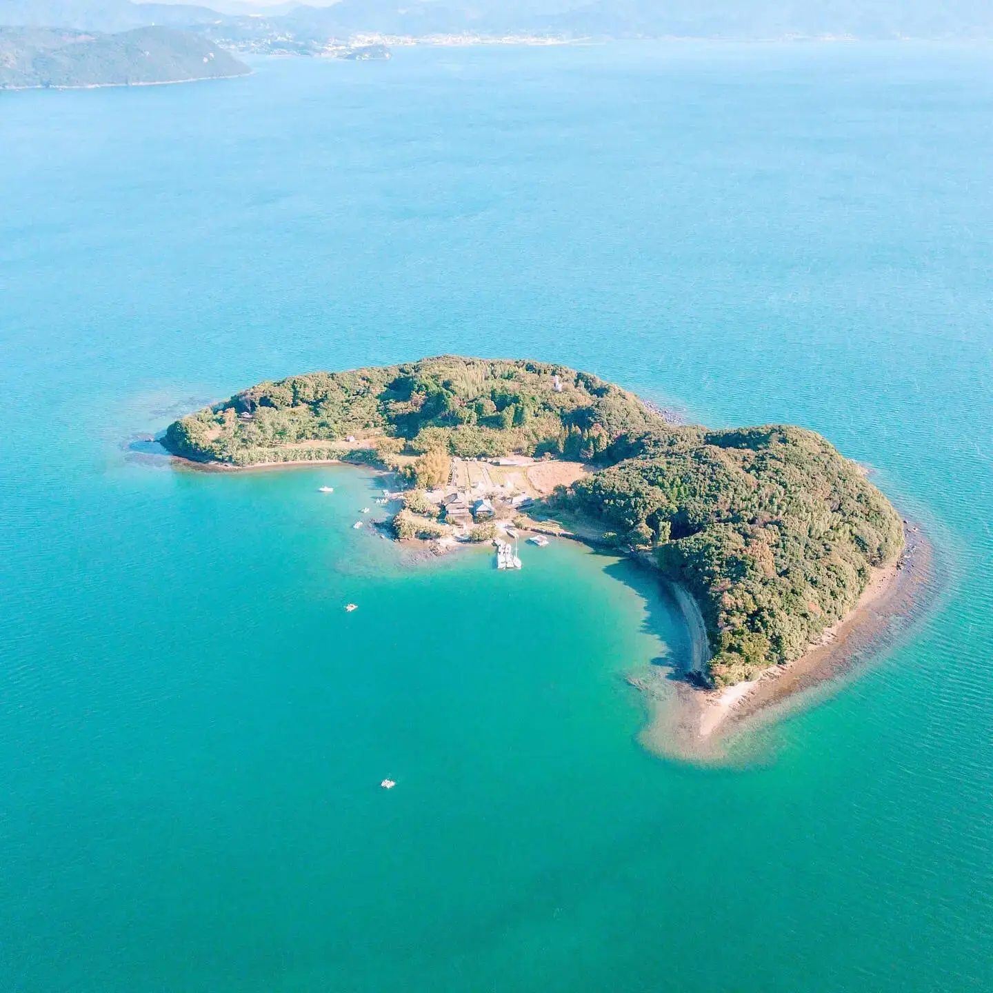 大村湾～無人島～滞在記「田島」の3枚目画像