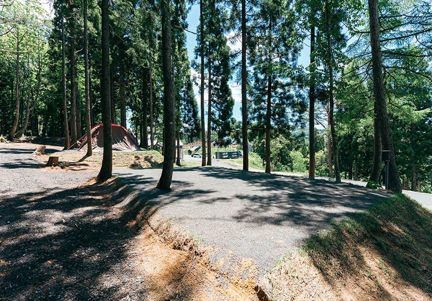 Alpen Outdoors しろとりフィールドのサブ写真6