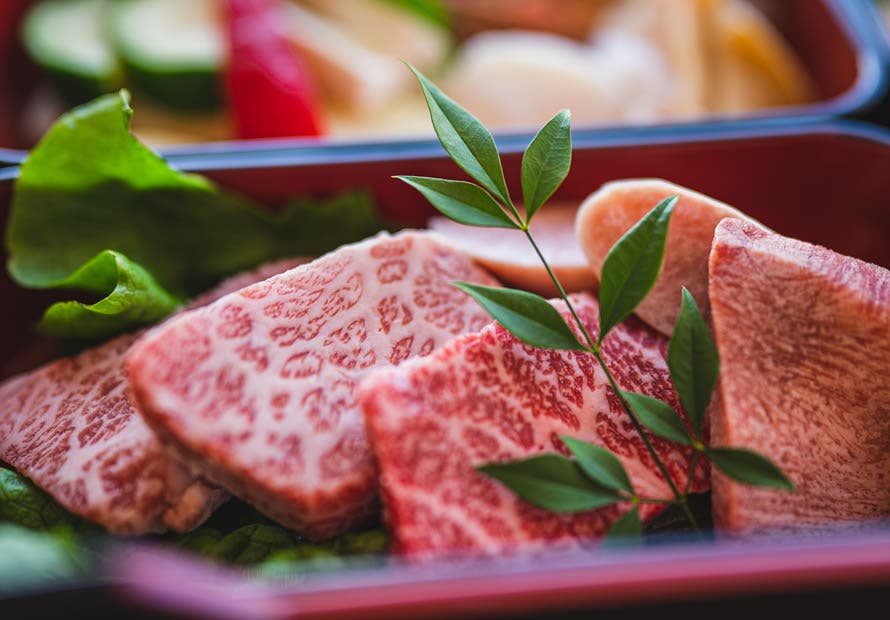 Alpen Outdoors しろとりフィールドのサブ写真18