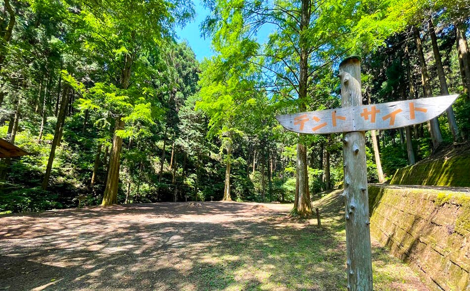 Nature Factory 東京町田のサブ写真3