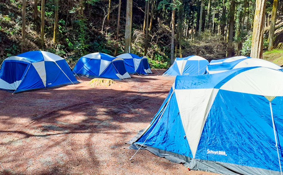 Nature Factory 東京町田のサブ写真4