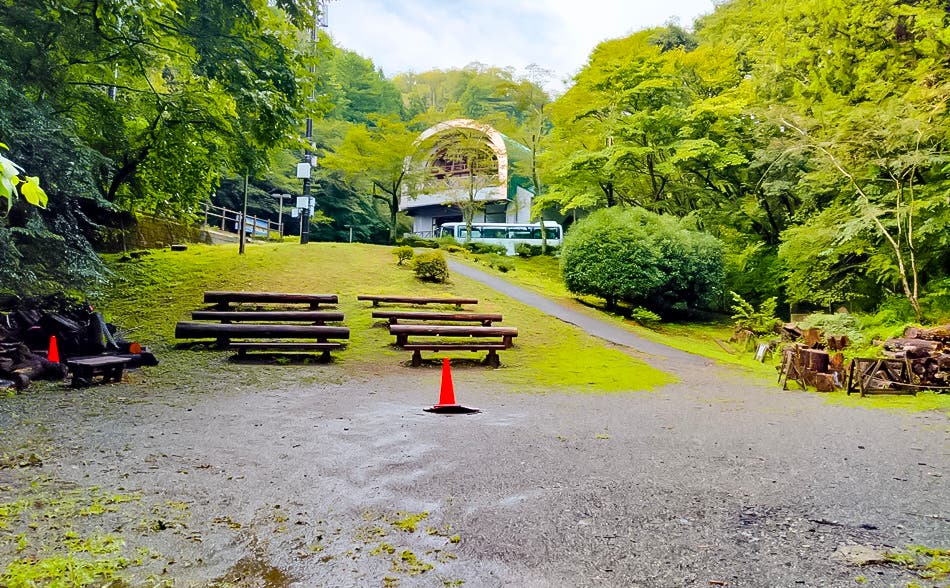 Nature Factory 東京町田のサブ写真5