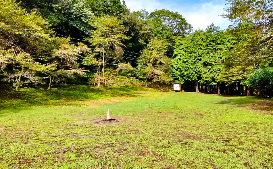 Nature Factory 東京町田のサブ写真6