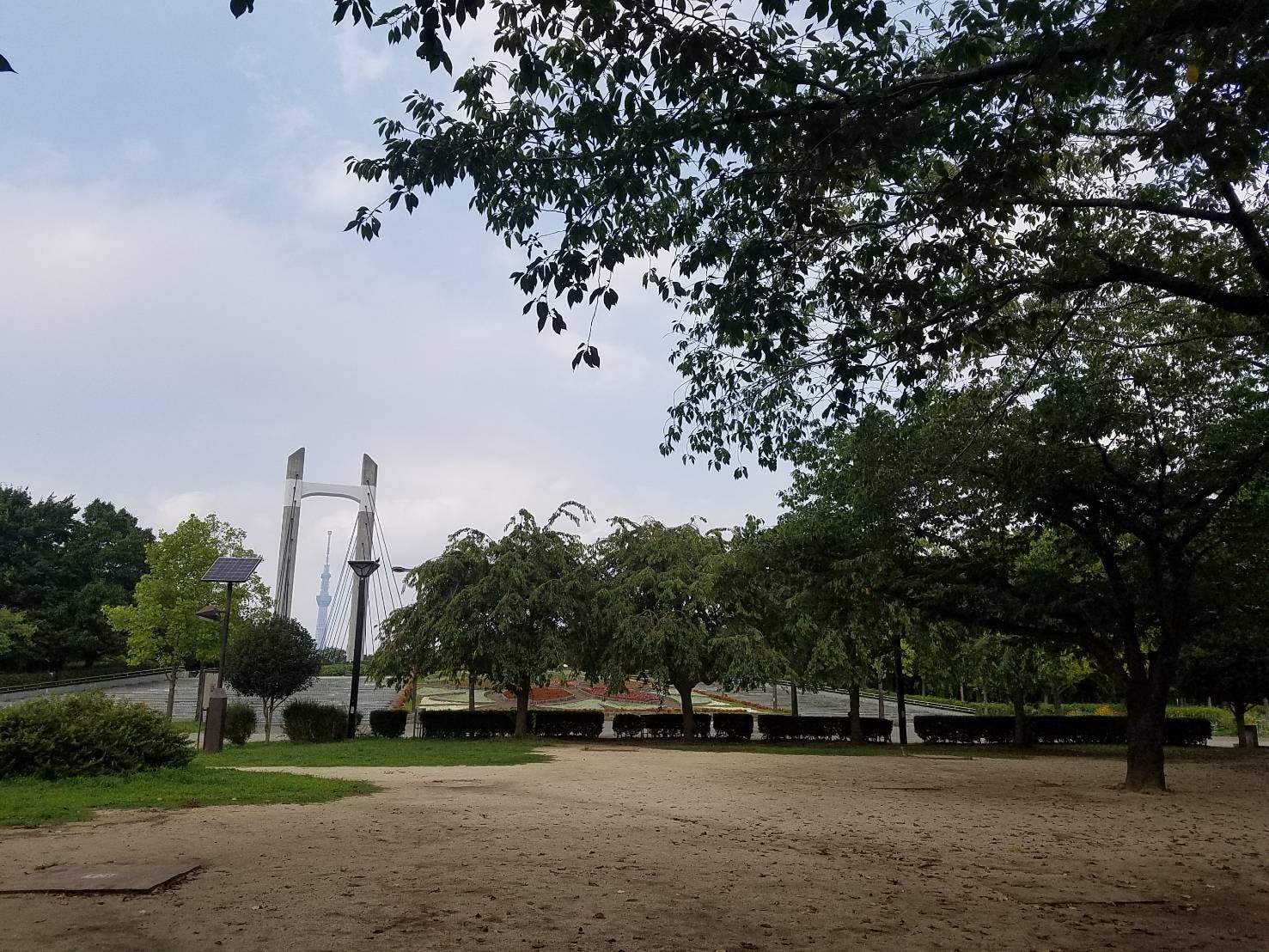 都立木場公園バーベキュー広場の2枚目画像