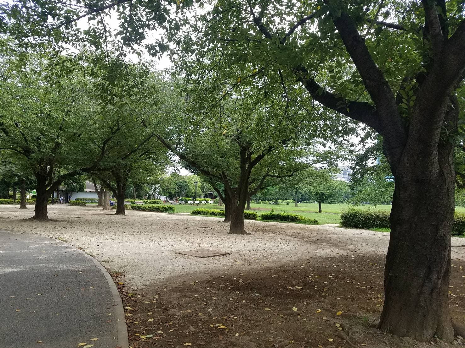 都立木場公園バーベキュー広場の3枚目画像
